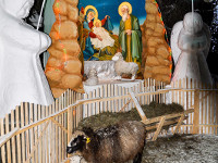 Рождество в Петро-Павловском соборе