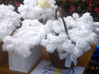 «Белый цветок» — продолжение традиций благотворительности 