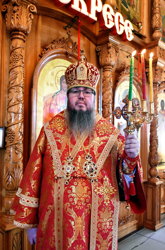 Епископ Петропавловский и Булаевский Владимир